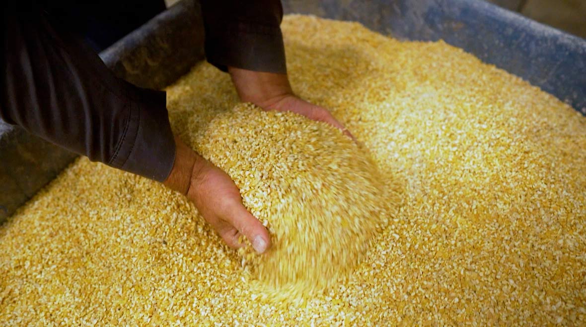 Ethanol and Isobutanol Development Facility in Luverne, Minnesota